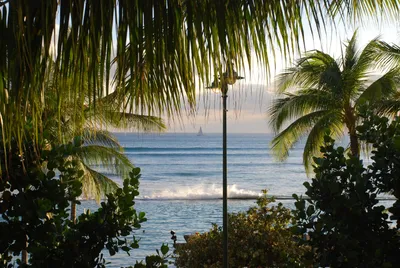 2007_06_01_HAWAII (104) (Large).JPG